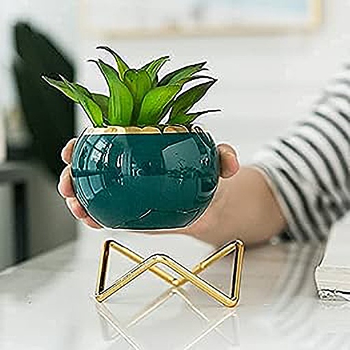 [DT5098V] Maceta con soporte Verde