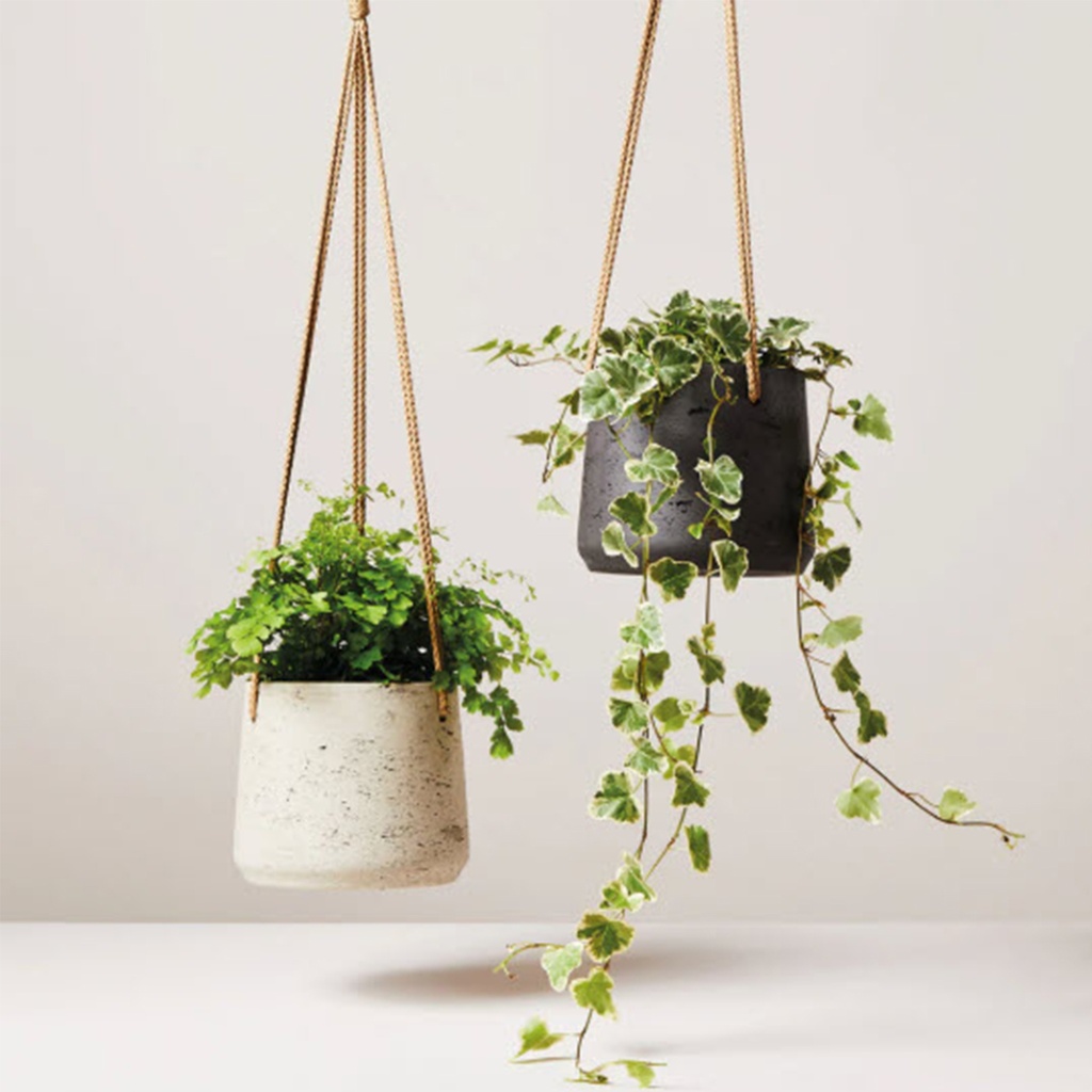 Maceta ceramica colgante mediana Gris