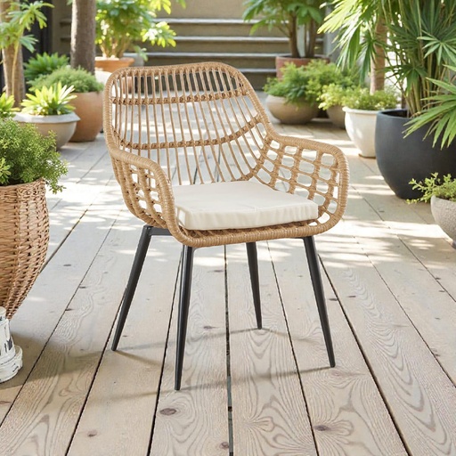 [DT5082] Butaca ratán Reims