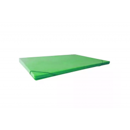 carpeta carton plast - 1cm verde